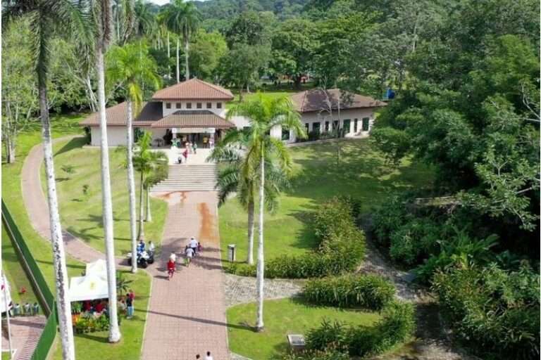 Summit será escenario de jornada familiar para celebrar a “JAG” con actividades recreativas para la niñez