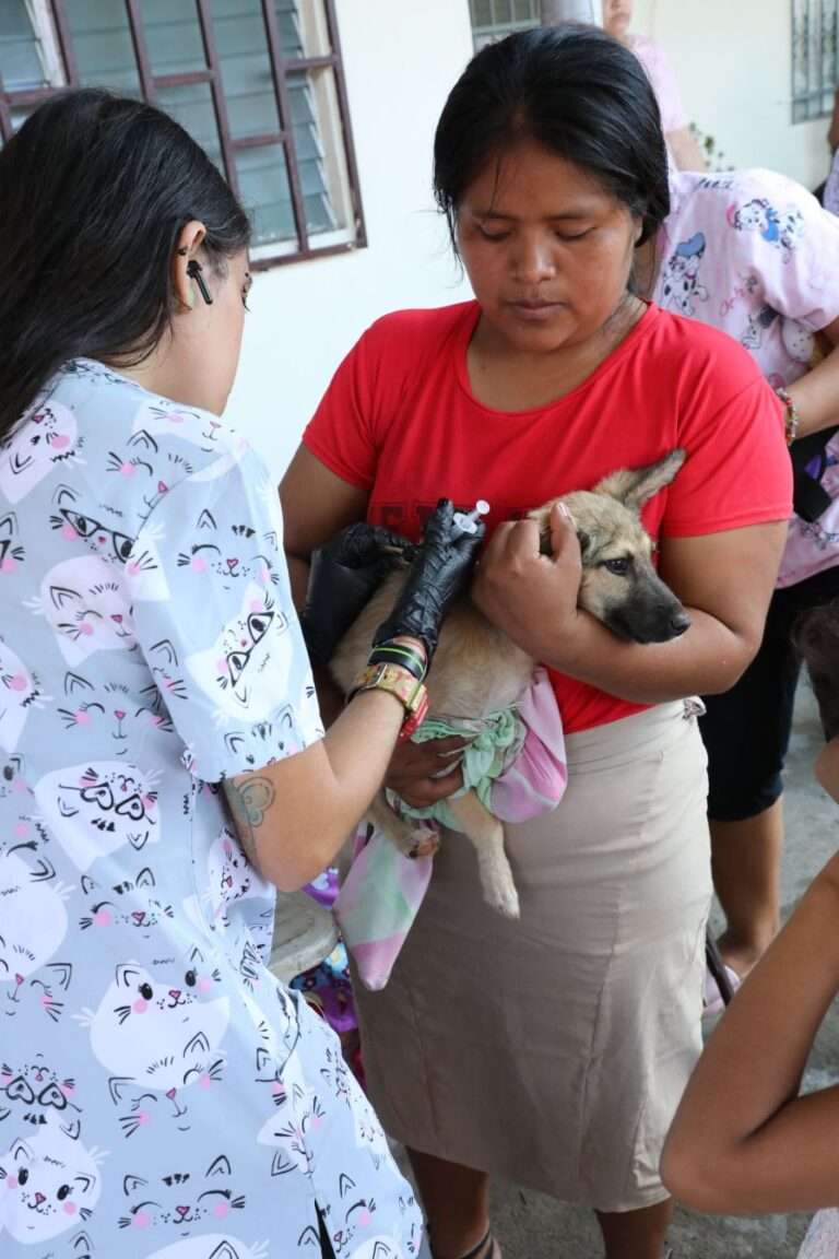 ‘Tina en tu comunidad’ lleva jornada de esterilización a Tocumen