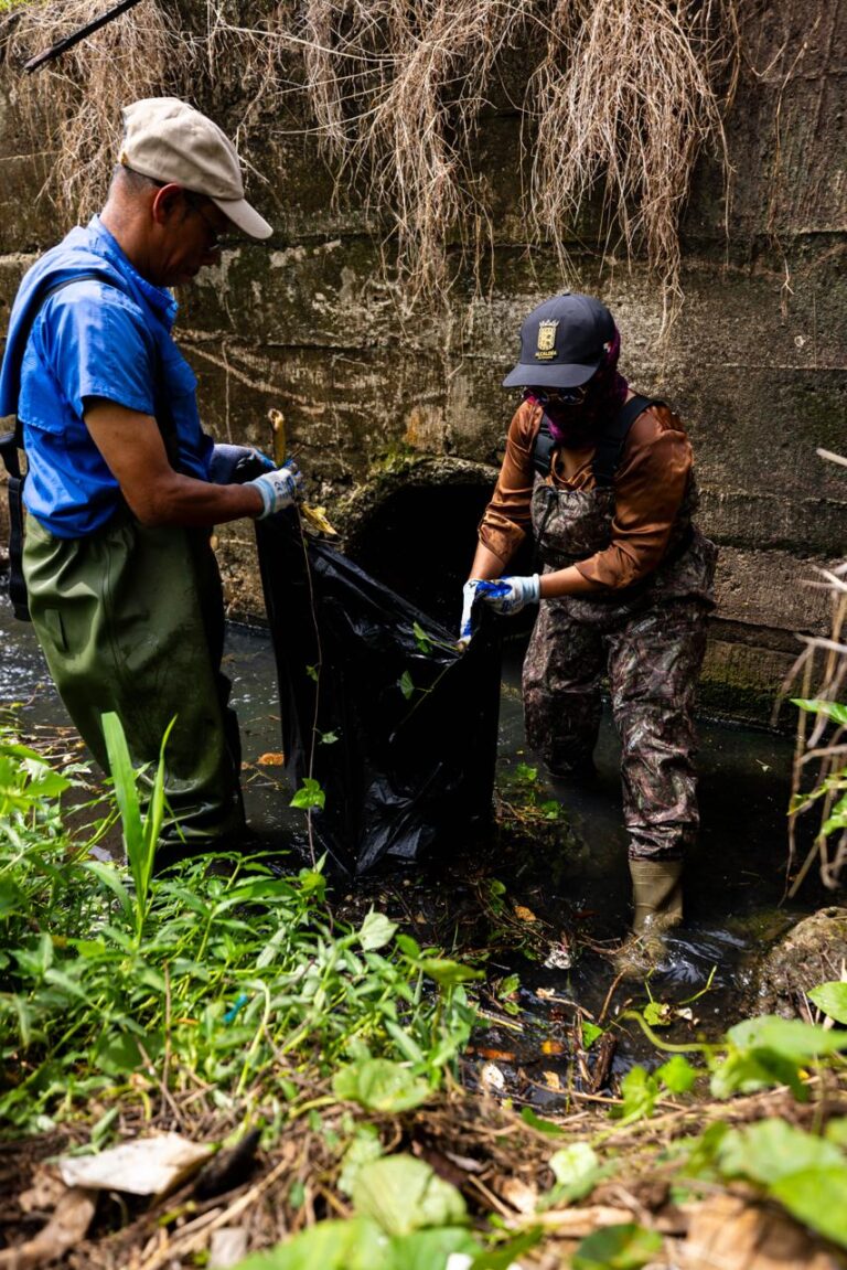 Alcaldía de Panamá refuerza  refuerza limpieza en Pedregal para prevenir dengue e inundaciones