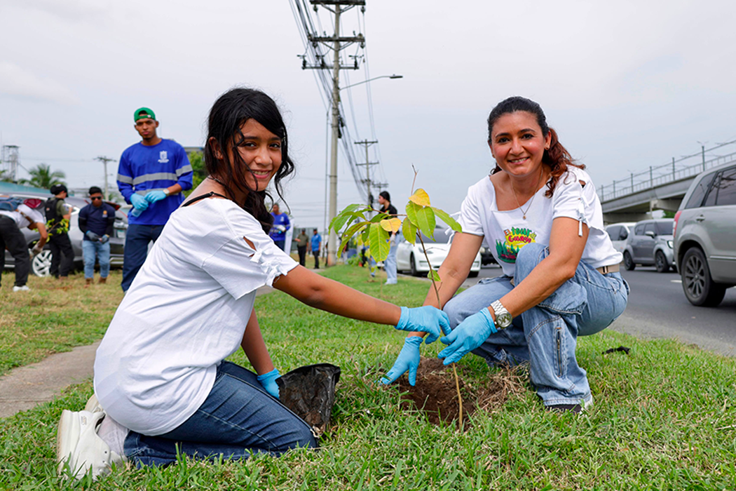 Más de 20 mil plantones siembra la Alcaldía con nueva jornada en la vía Tocumen 