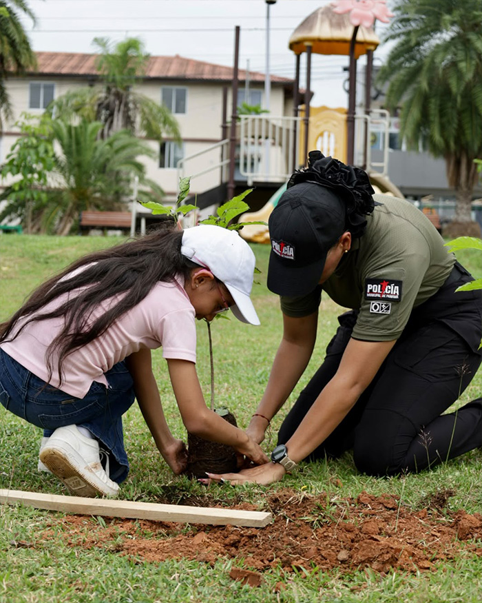 Alcaldía de Panamá realizará jornada de arborización en Vía Tocumen