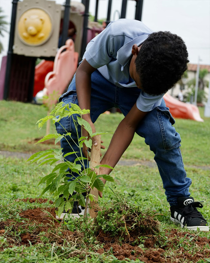Alcaldía de Panamá realizará jornada de arborización en Vía Tocumen