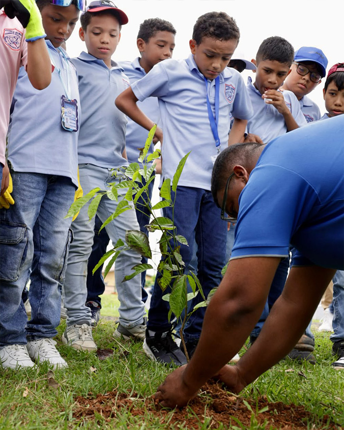 Alcaldía de Panamá realizará jornada de arborización en Vía Tocumen