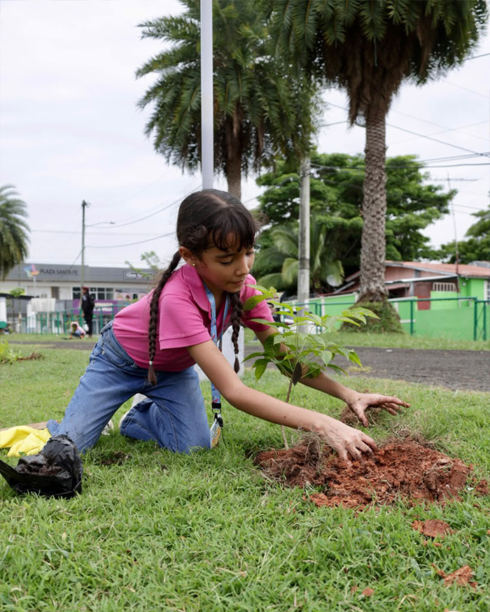 Alcaldía de Panamá realizará jornada de arborización en Vía Tocumen