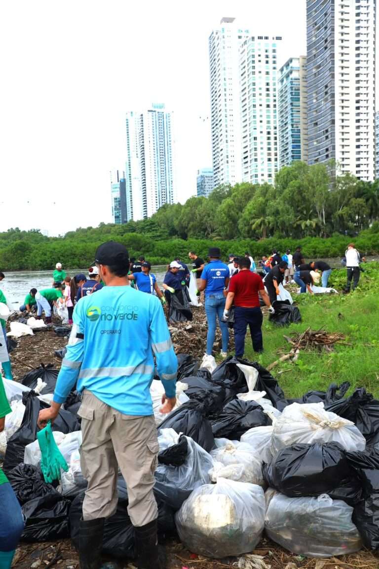 Voluntarios se unen para proteger el litoral Pacífico durante el Mes de los Océanos