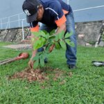 Arborización- Pedregal - Alcaldía de Panamá Fotos - Gabriel Rodríguez (4)