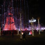 Encendido de luces navideñas- Alcaldía de Panamá (4)