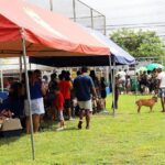 Esterilización - vacunación- bienestar Animal- Mascotas (2)