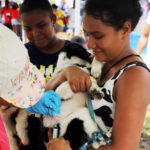 Esterilización - vacunación- bienestar Animal- Mascotas (7)