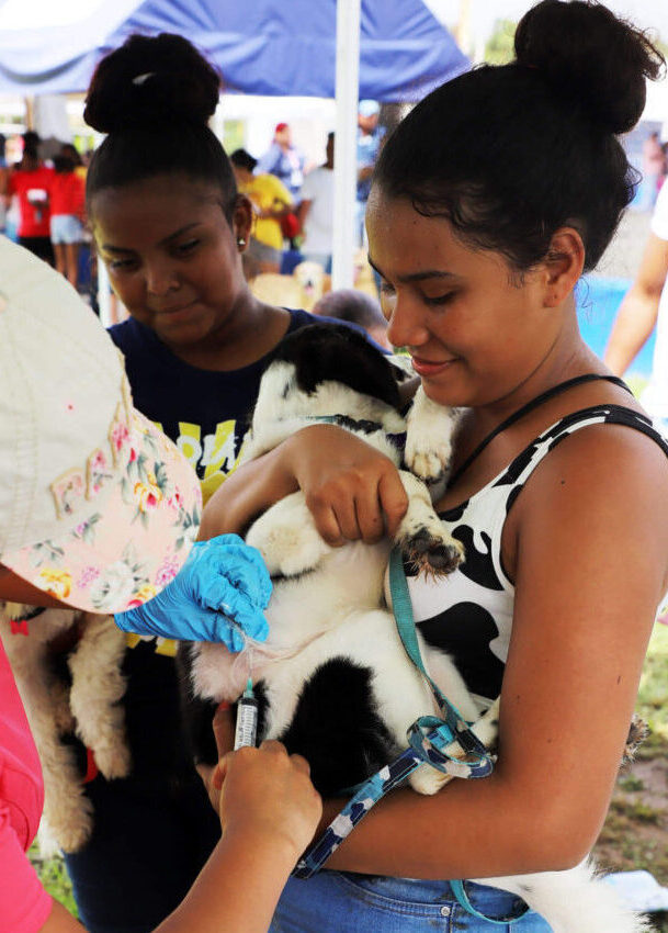 Esterilización - vacunación- bienestar Animal- Mascotas (7)