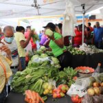 Feria Rimmu- Alcaldía de Panamá- Pueblo Nuevo- Río Abajo- Fotos José Vásquez (3)