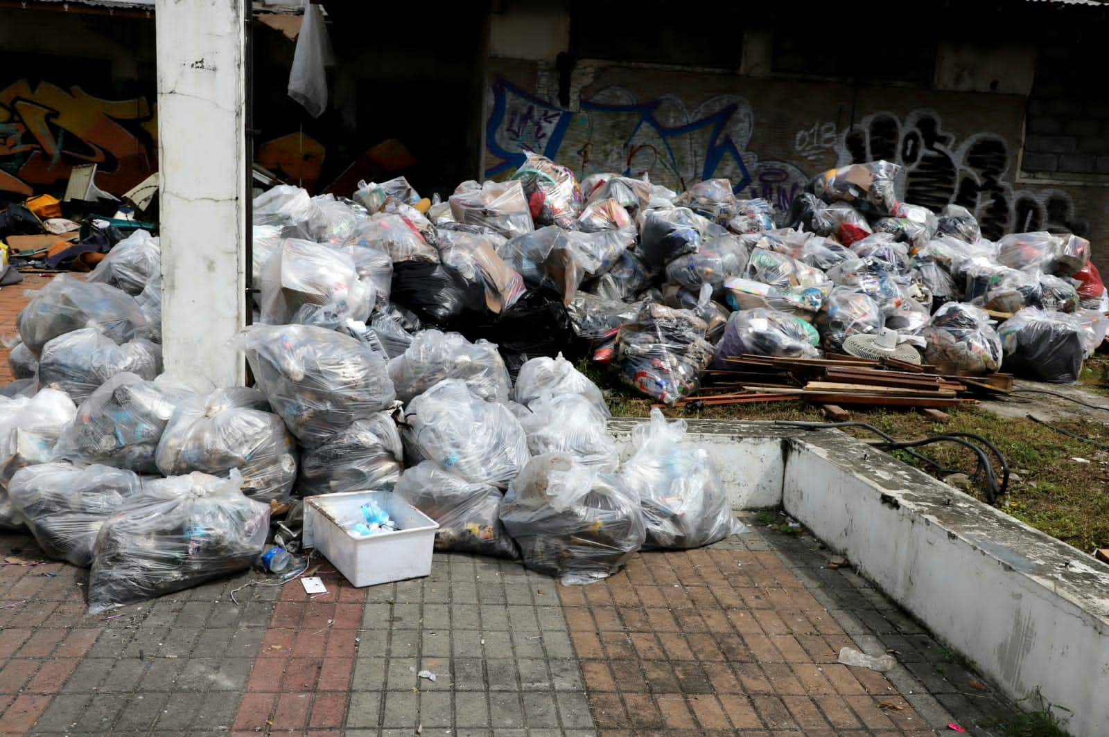 Recuperación y limpieza del edificio Juan Ramón Poll