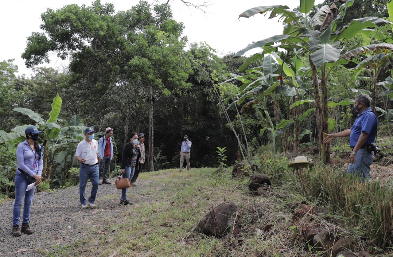 Alcaldía desarrolla proyecto de permacultura en el Parque Municipal del Norte