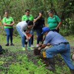 Parque Norte - Chilibre - permacultura- Alcaldía de Panamá Fotos Gabriel Rodríguez (5)