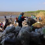 limpieza de playas- gestión ambiental- Alcaldía de Panamá- Costa del Este -Fotos José Vásquez (10)