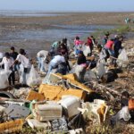 limpieza de playas- gestión ambiental- Alcaldía de Panamá- Costa del Este -Fotos José Vásquez (4)