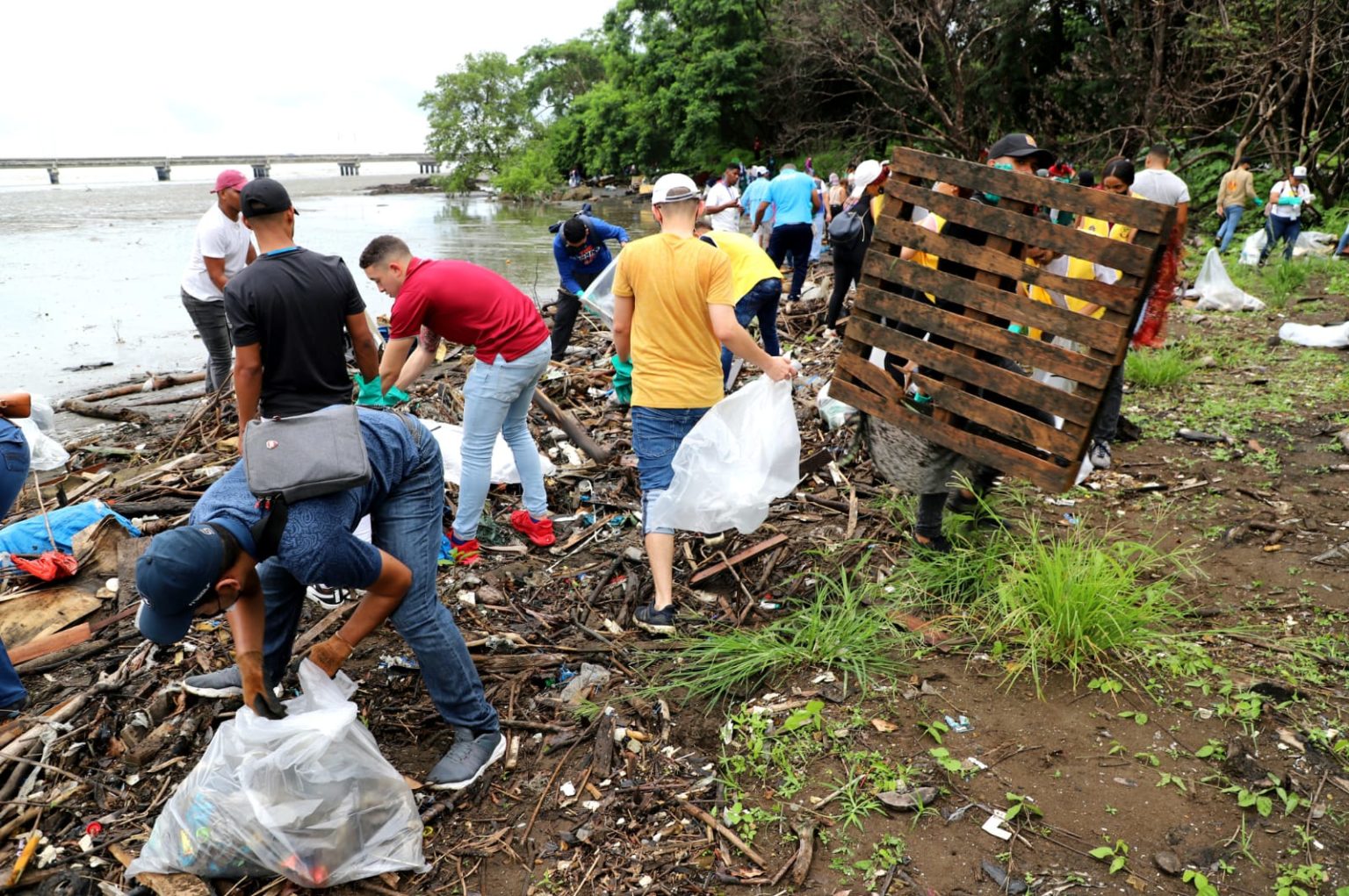 Jornadas de limpieza de playas de la Alcaldía de Panamá buscan crear